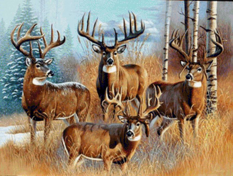 №1154554 - предпросмотр