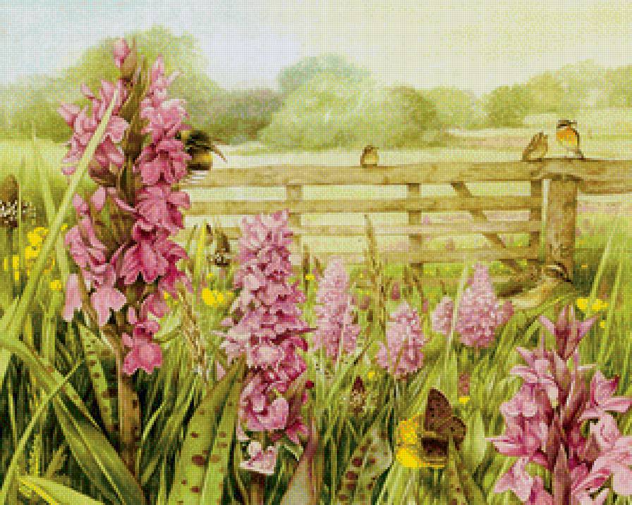 Лето - природа, цветы, птицы, пейзаж - предпросмотр