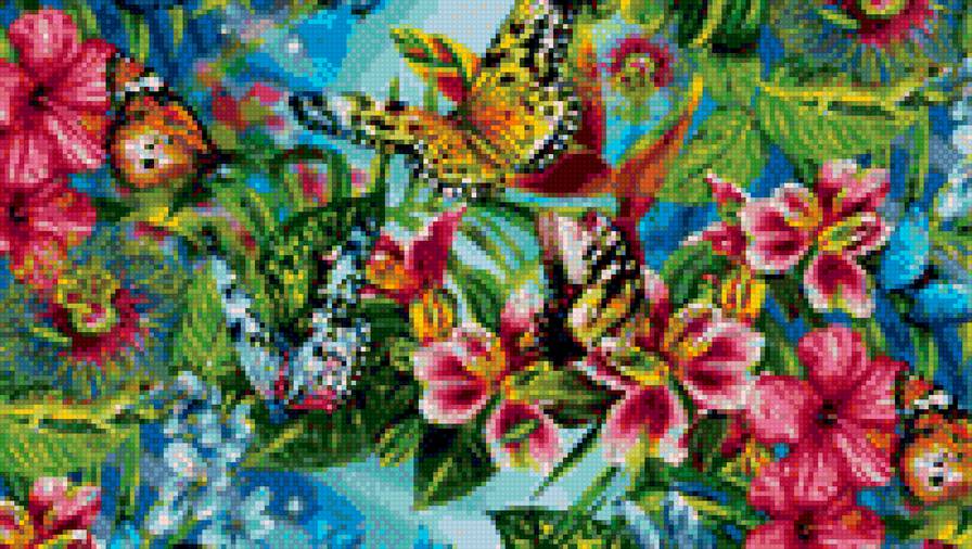 бабочки - предпросмотр