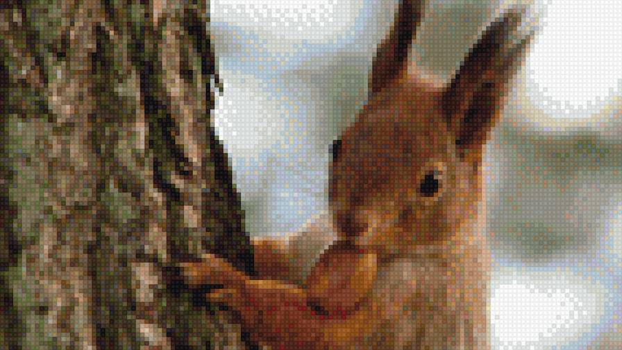 Белочка - предпросмотр