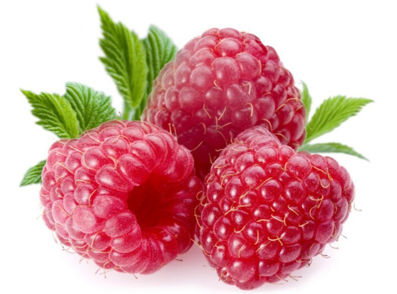 малина - оригинал