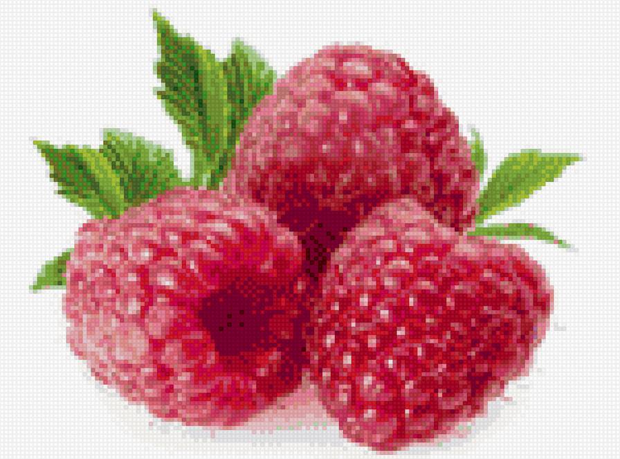 малина - предпросмотр