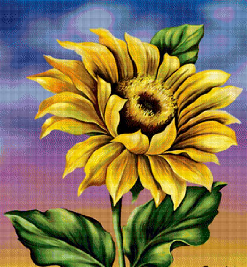 Цветок - подсолнух, цветок, цветы - предпросмотр