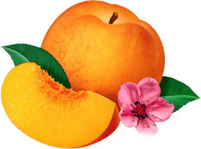 персики - оригинал