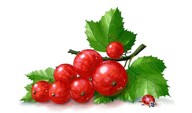 Сочная смородинка - натюрморт, смородина, красная смородина, для кухни, панно, ягоды - оригинал