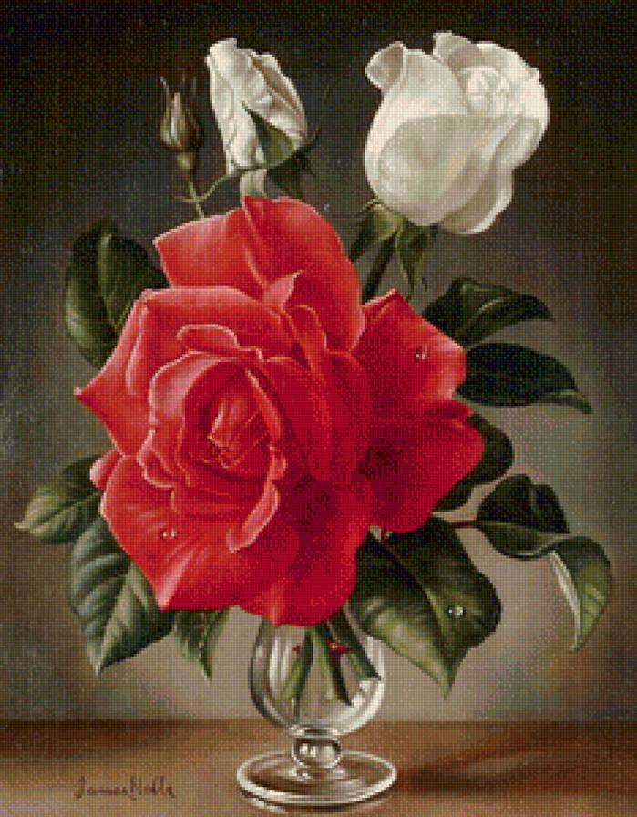 Розы - натюрморт, розы, цветы - предпросмотр