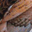 Предпросмотр схемы вышивки «хищник» (№1156143)
