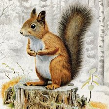 Схема вышивки «белка на пне»