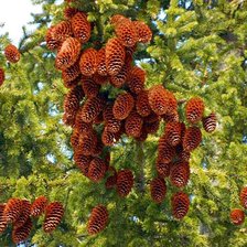 Схема вышивки «№1156322»