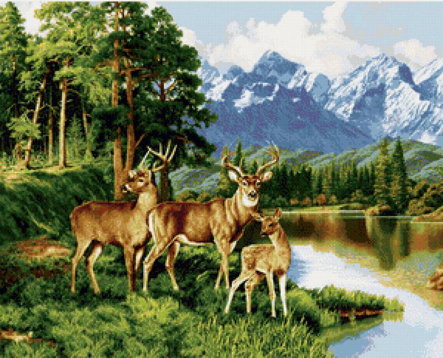 олени - горы, природа, пейзаж, животные - предпросмотр