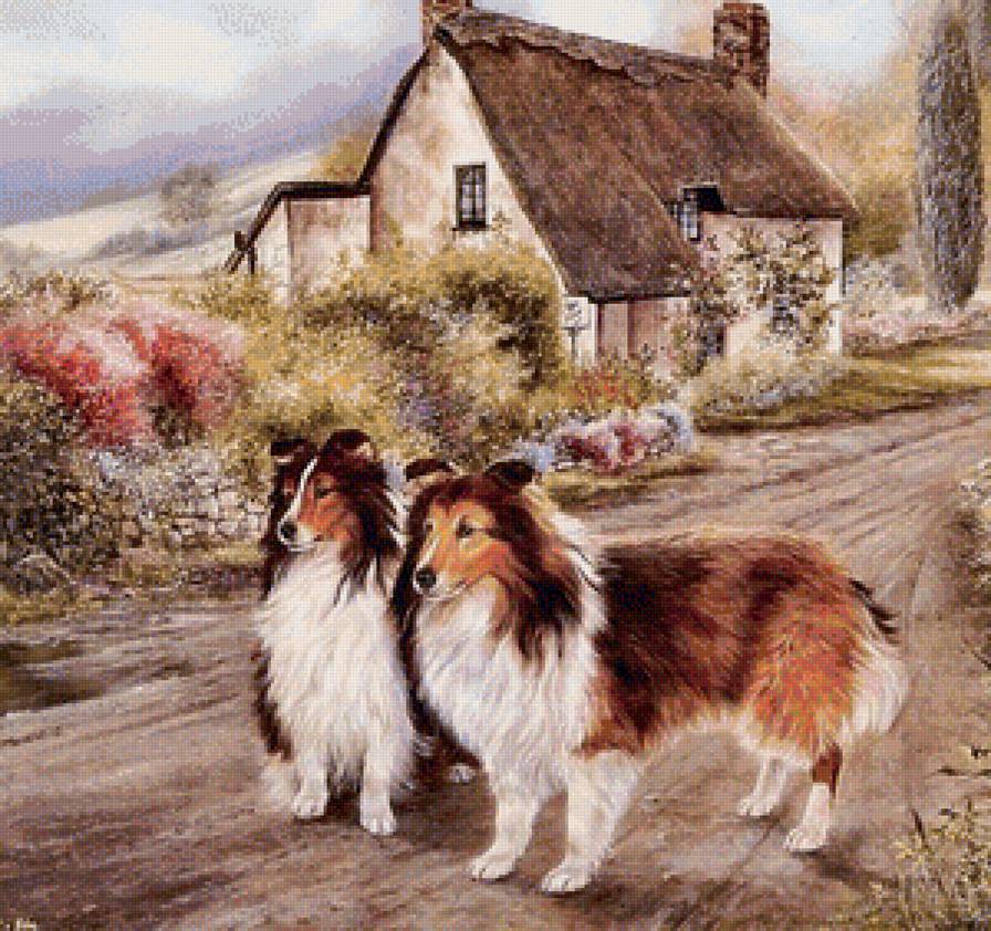 друзья - пейзаж, собаки, природа, животные - предпросмотр