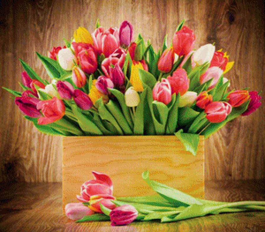 Тюльпаны - предпросмотр