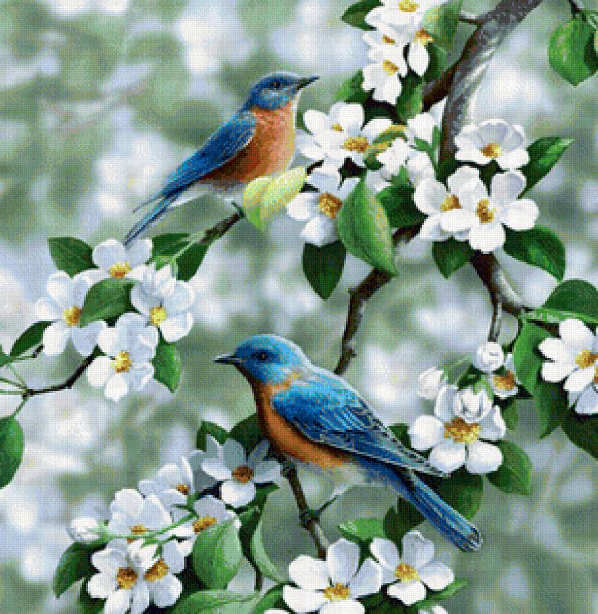 пташки весной - птицы, природа - предпросмотр