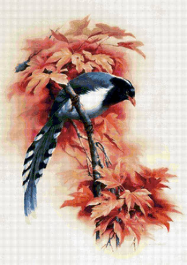 птица - природа, птицы - предпросмотр