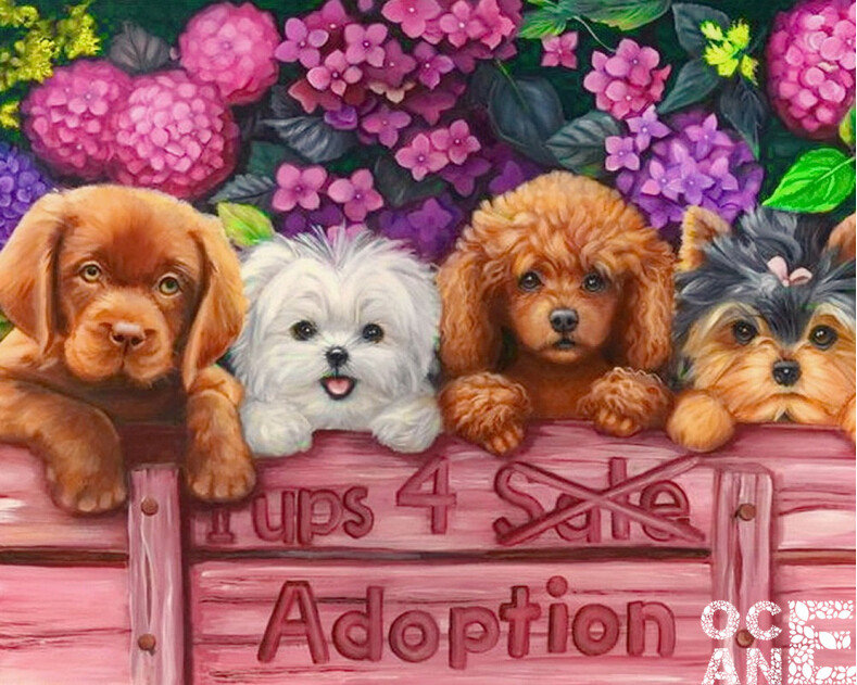 №1156755 - оригинал