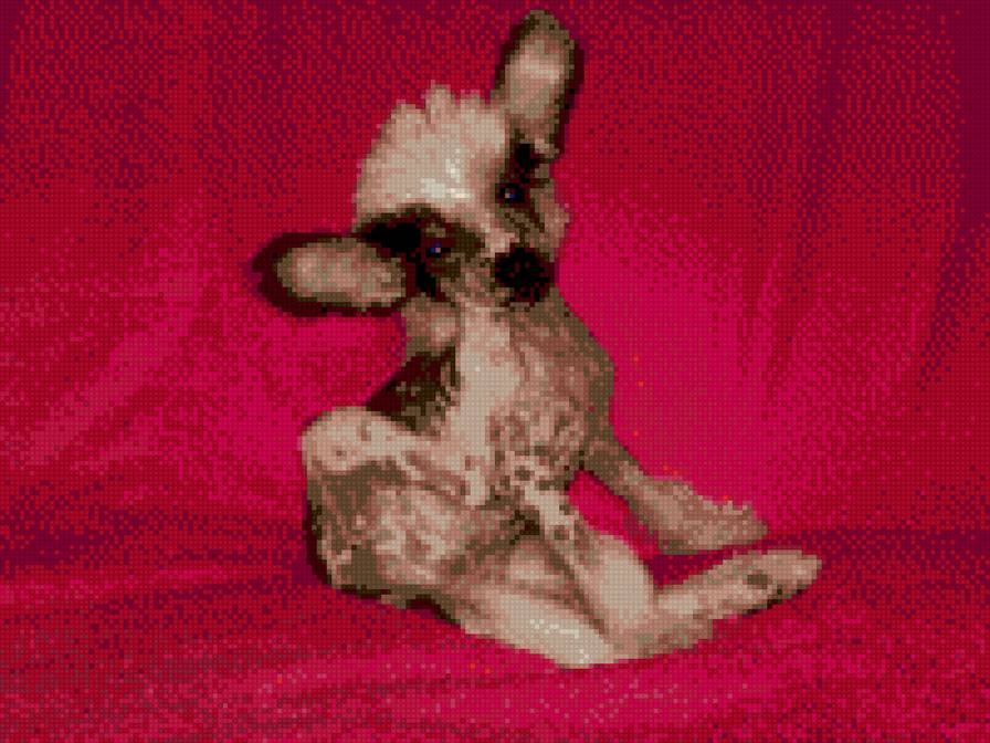 Китайская Хохлатая - оленёнок Бэмби) - кхс, chinese crested dog, схема вышивки, китайская хохлатая - предпросмотр