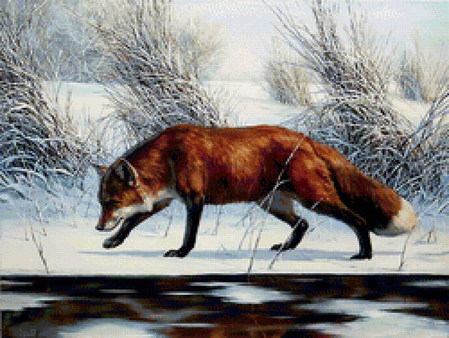 Лиса - предпросмотр