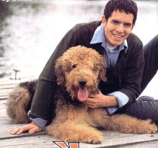 Диего Рамос - дикий ангел - оригинал