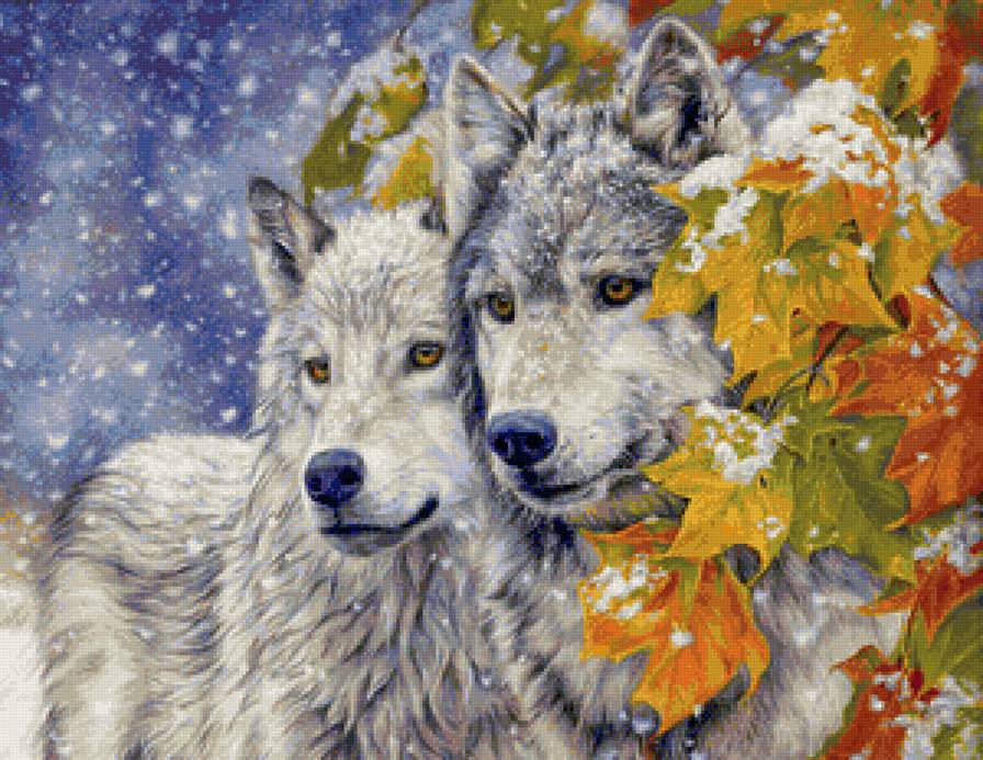 Волки в снегу - волк снег - предпросмотр