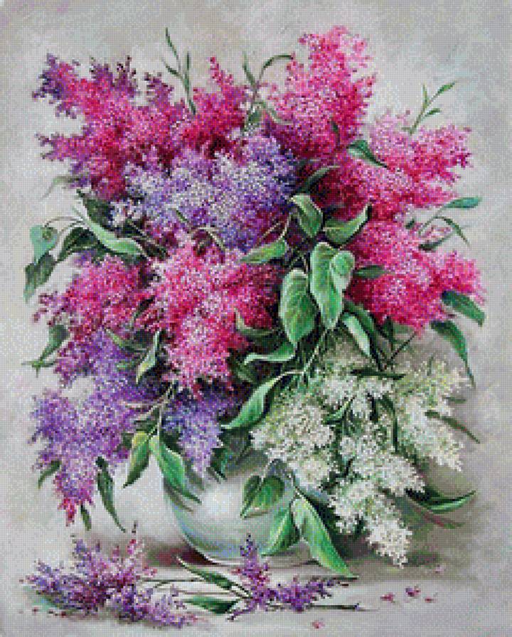 сиреневое чудо - лиловые цветы, белые цветы, букет, сирень - предпросмотр