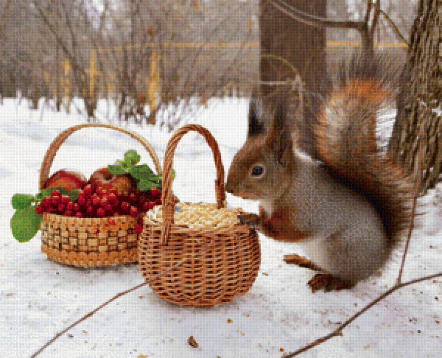 белка - подарки, корзина, зима, ягоды - предпросмотр