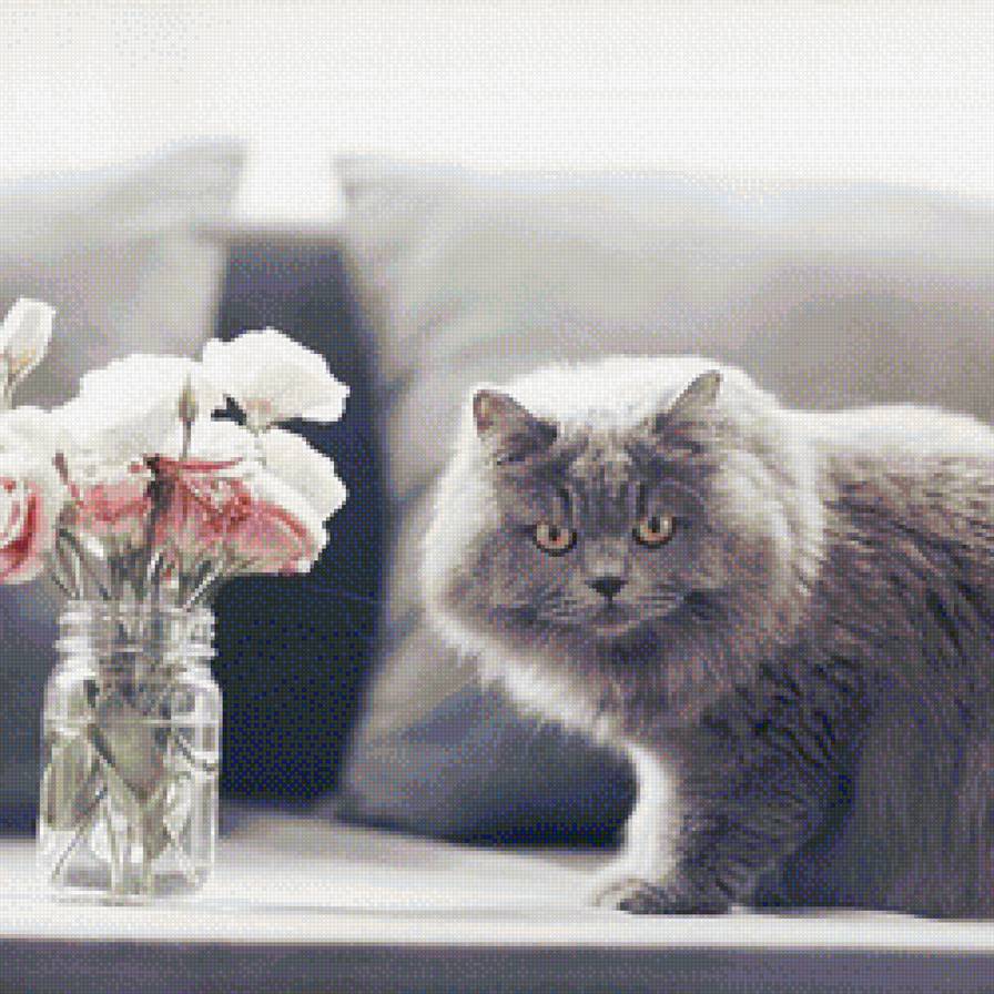 кот - цветы, животные - предпросмотр
