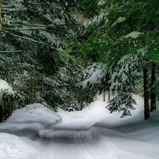 Схема вышивки «зиму в лесу»