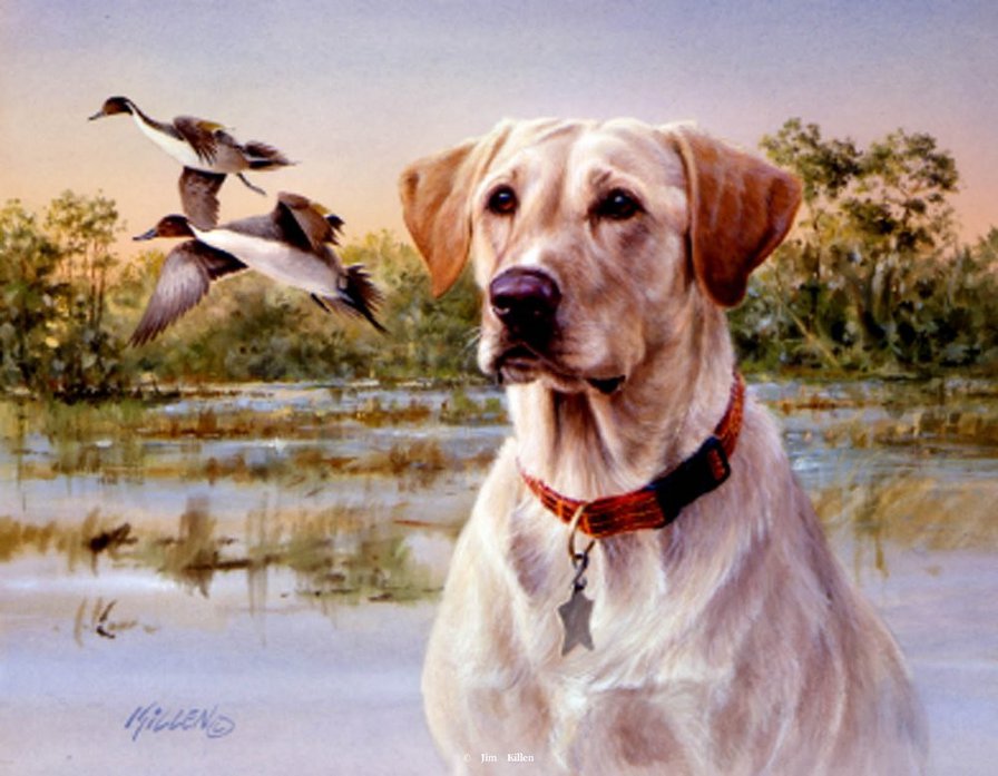 №1159014 - оригинал