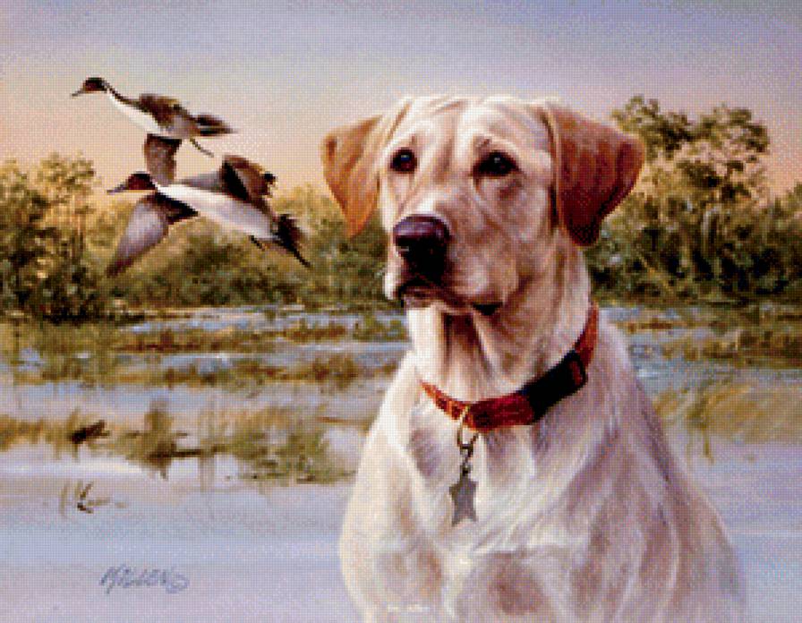 №1159014 - предпросмотр