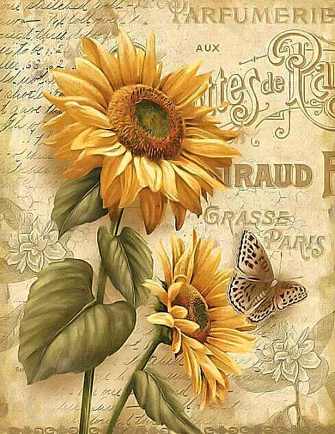 108 - оригинал