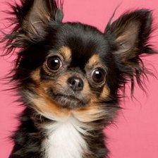 Схема вышивки «№1159528»