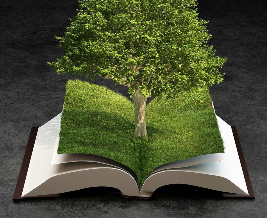 Зеленая книга - оригинал