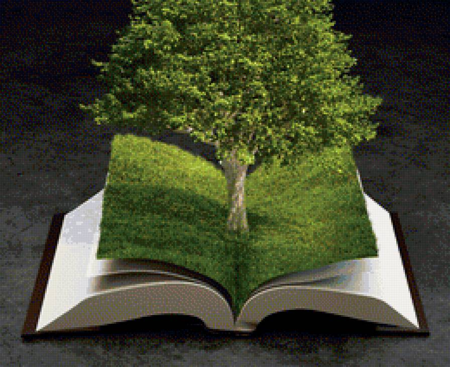 Зеленая книга - предпросмотр