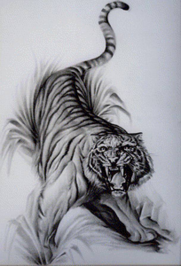 Свирепый тигр - тигр - предпросмотр