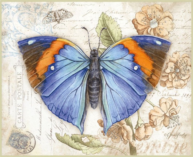 Серия бабочки - бабочки, цветы - оригинал