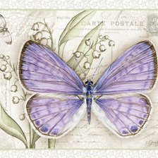 Оригинал схемы вышивки «Серия бабочки» (№1160536)