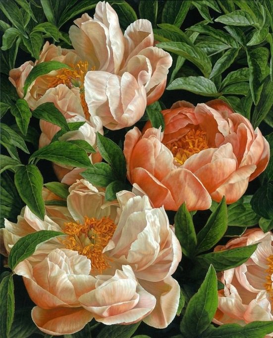 Нежные пионы - букет, цветы, пионы, природа, живопись - оригинал