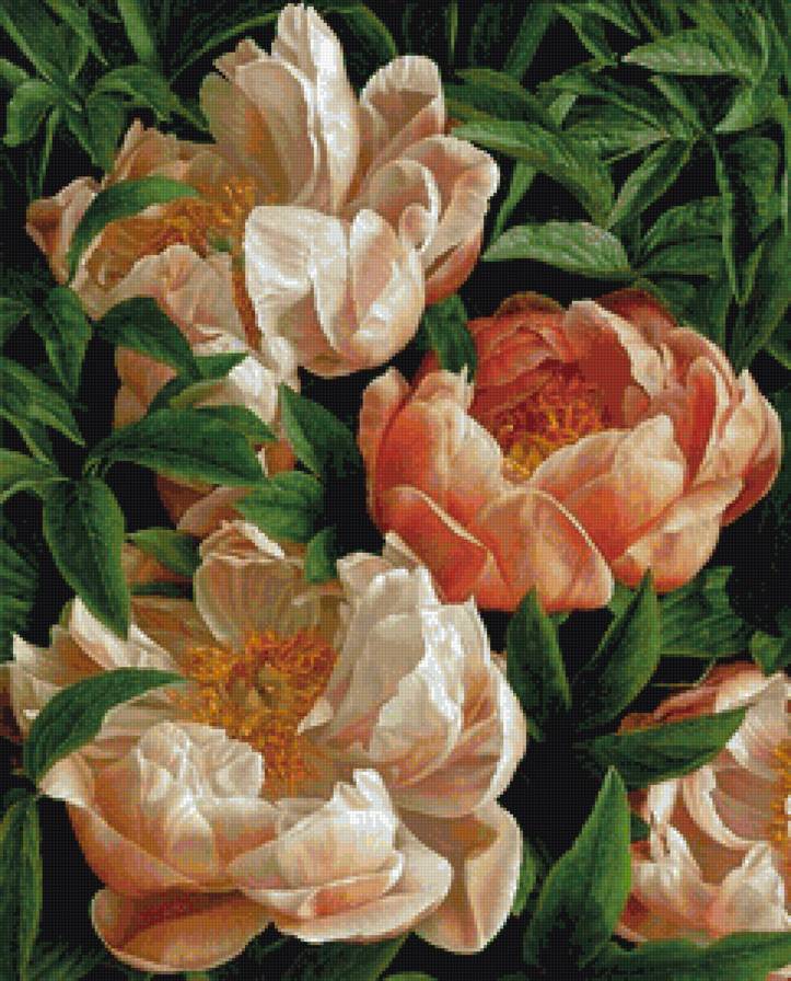 Нежные пионы - живопись, пионы, букет, природа, цветы - предпросмотр