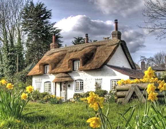 Викторианский домик - нарциссы, цветы, сад, желтые цветы, англия, весна, дом - оригинал