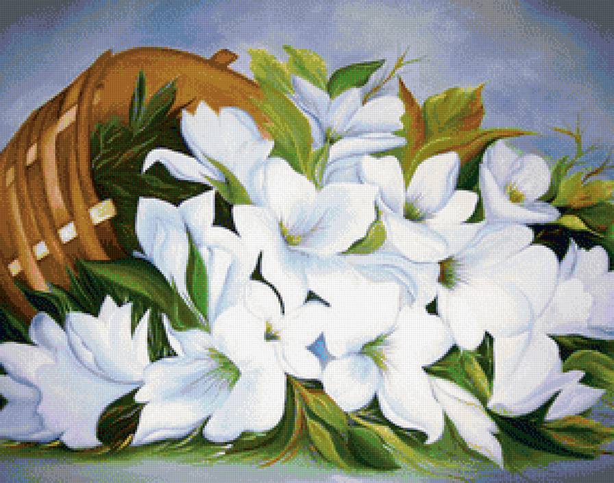 мои лилии - предпросмотр