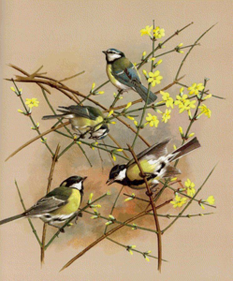 синички - природа, птицы - предпросмотр