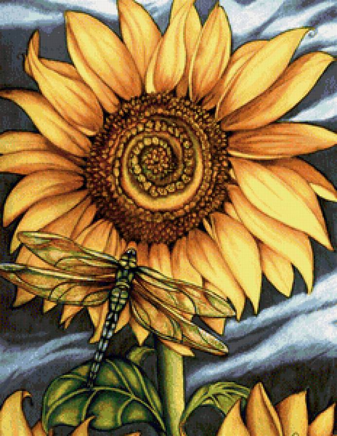 Стрекоза на подсолнухе - солнце, цветок, подсолнух, стрекоза, цветы - предпросмотр