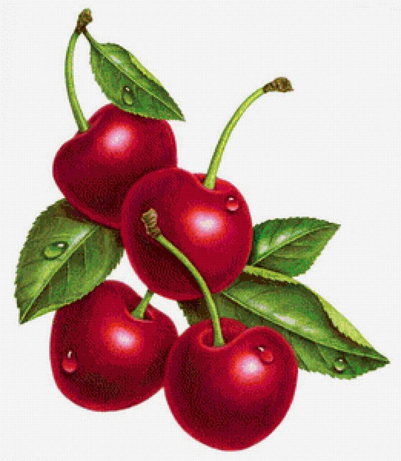 Вишенки - для кухни, вишня, ягоды - предпросмотр