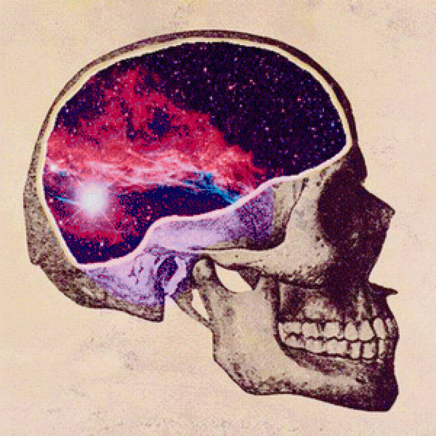 Space in my head - череп, вселенная - предпросмотр