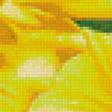 Предпросмотр схемы вышивки «Желтые цветы» (№1161280)