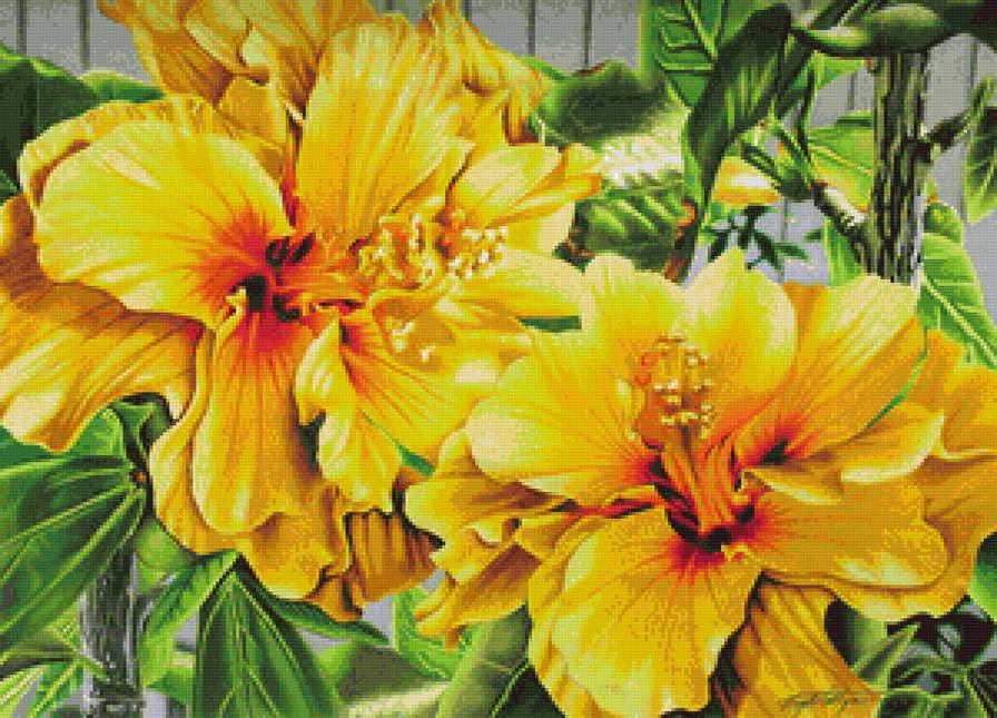 Желтые цветы - желтые цветы, живопись, цветы, букет - предпросмотр