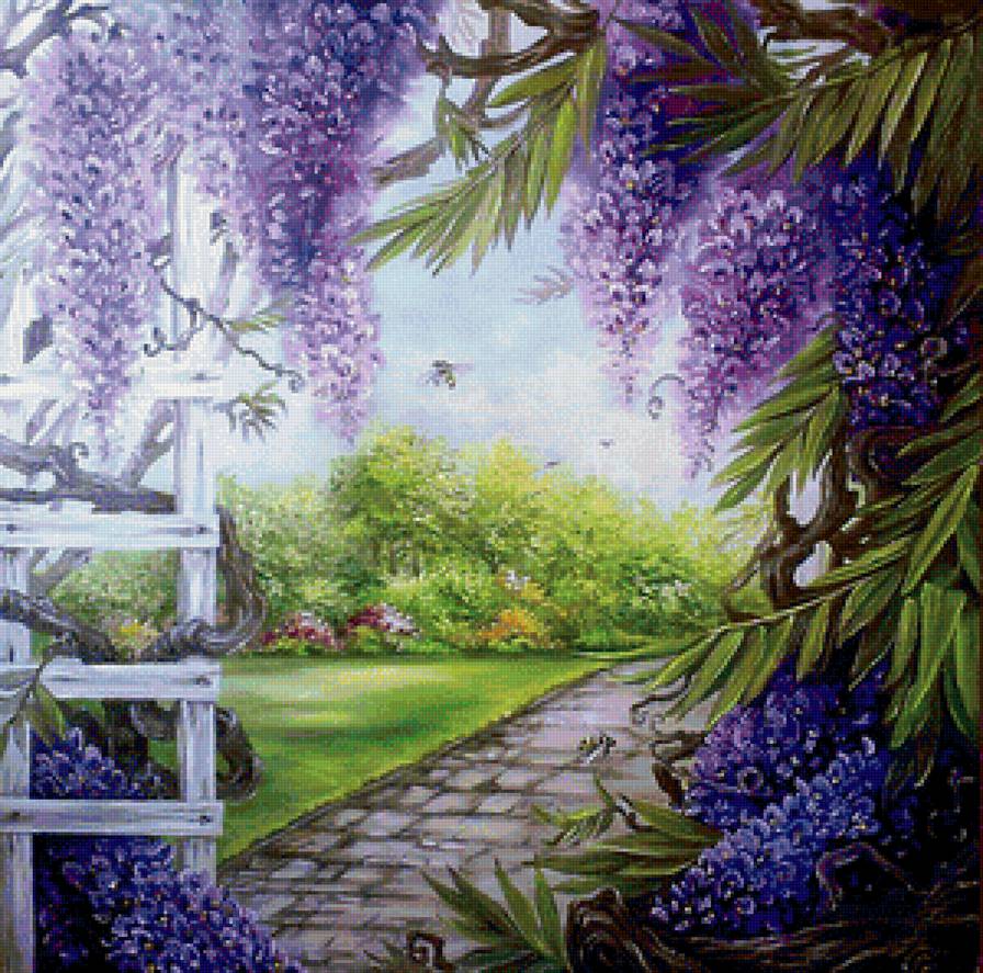 цветущая глициния - глициния, лето, пейзаж, лиловые цветы - предпросмотр