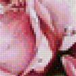 Предпросмотр схемы вышивки «букет роз» (№1161540)