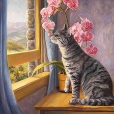 Схема вышивки «Кот и орхидея»