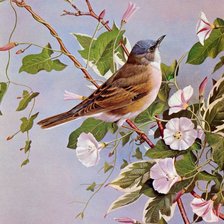 Схема вышивки «пташка»